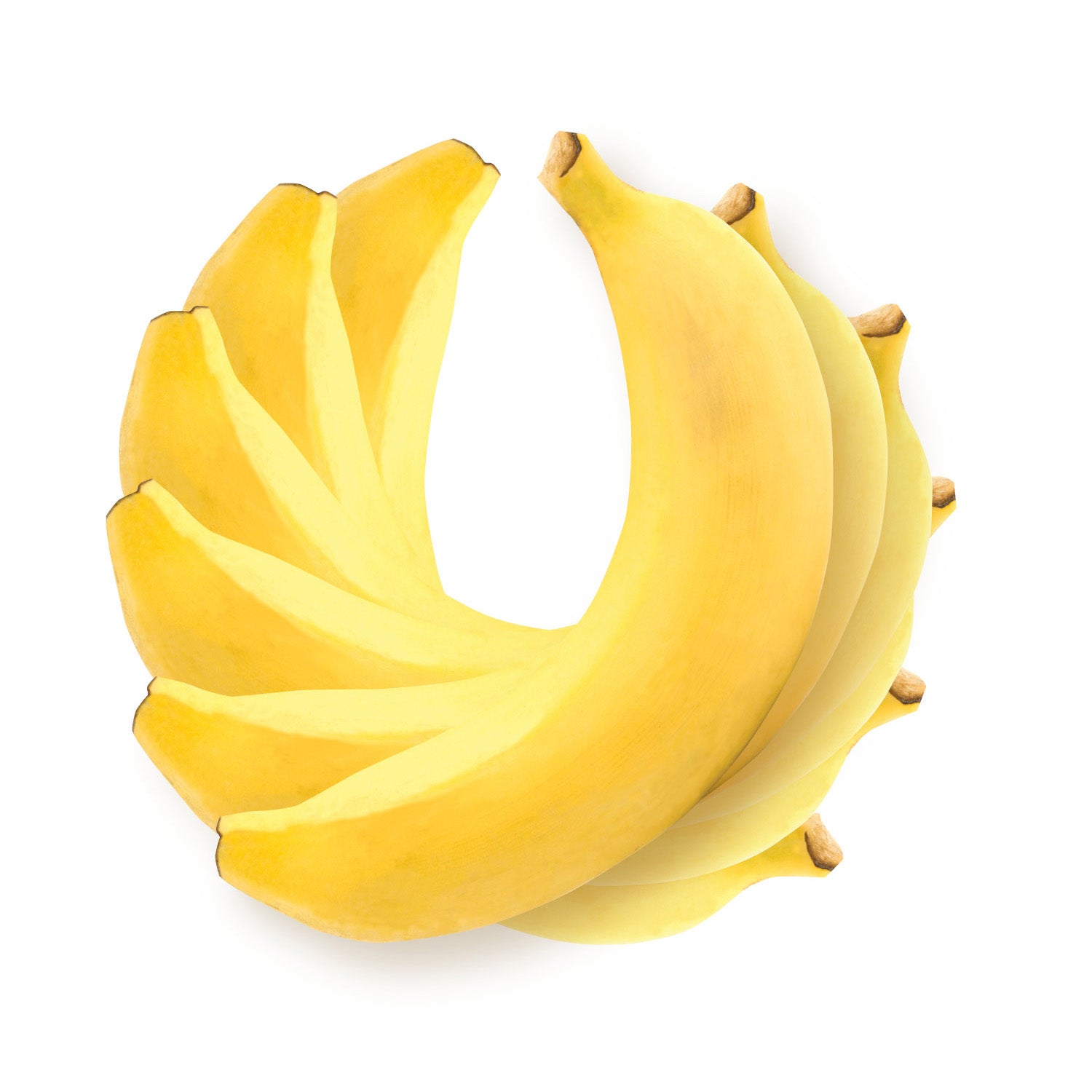 Six organic bananas stacked and rotated to make a spiral pattern on a white background